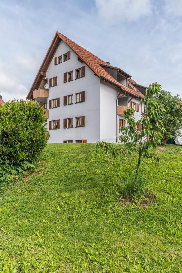 Rh-Appartements 15 Minuten Von Basel Im Dorf Ruehrberg 格伦扎克·威伦 外观 照片